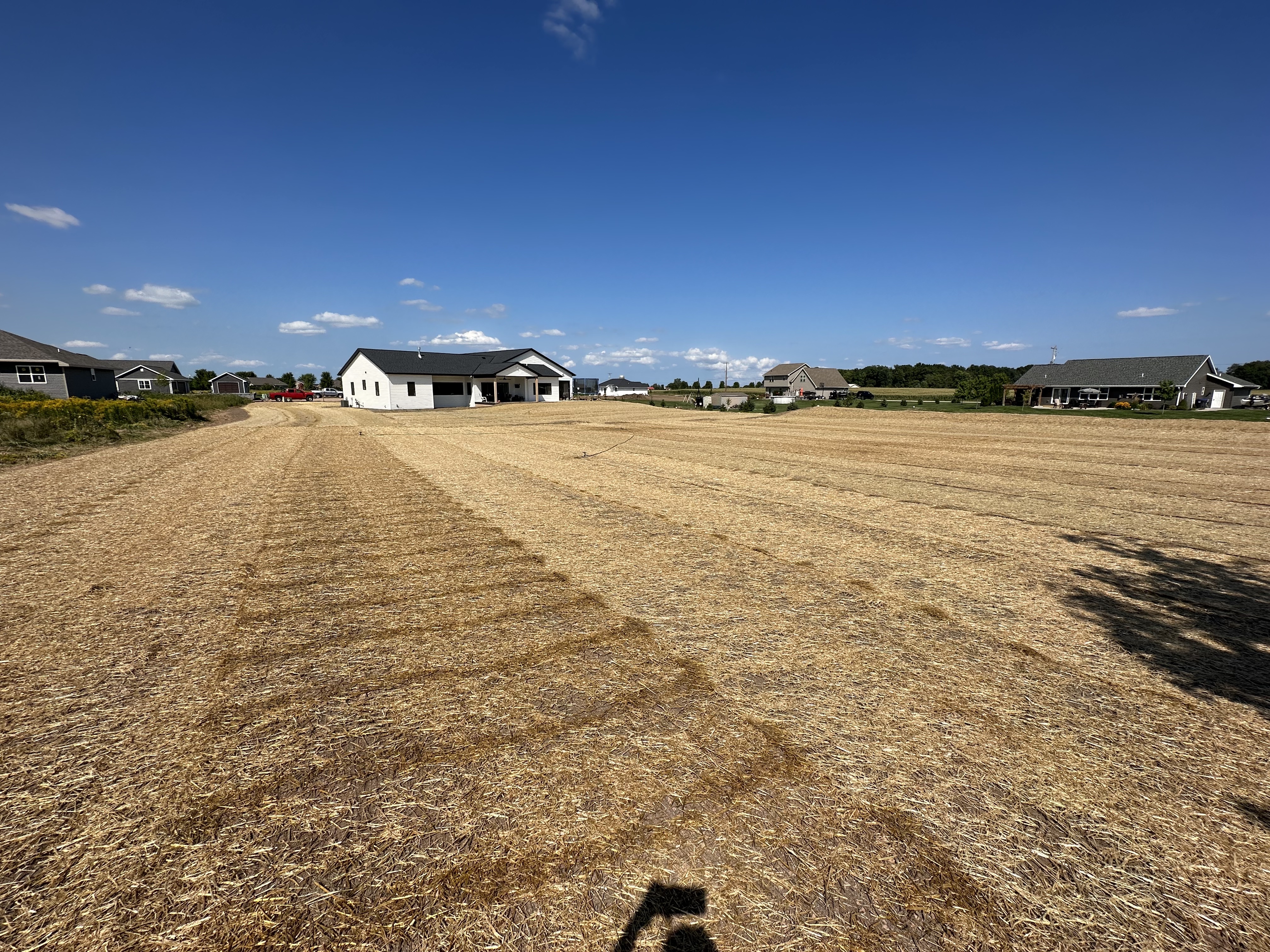 New lawn installation