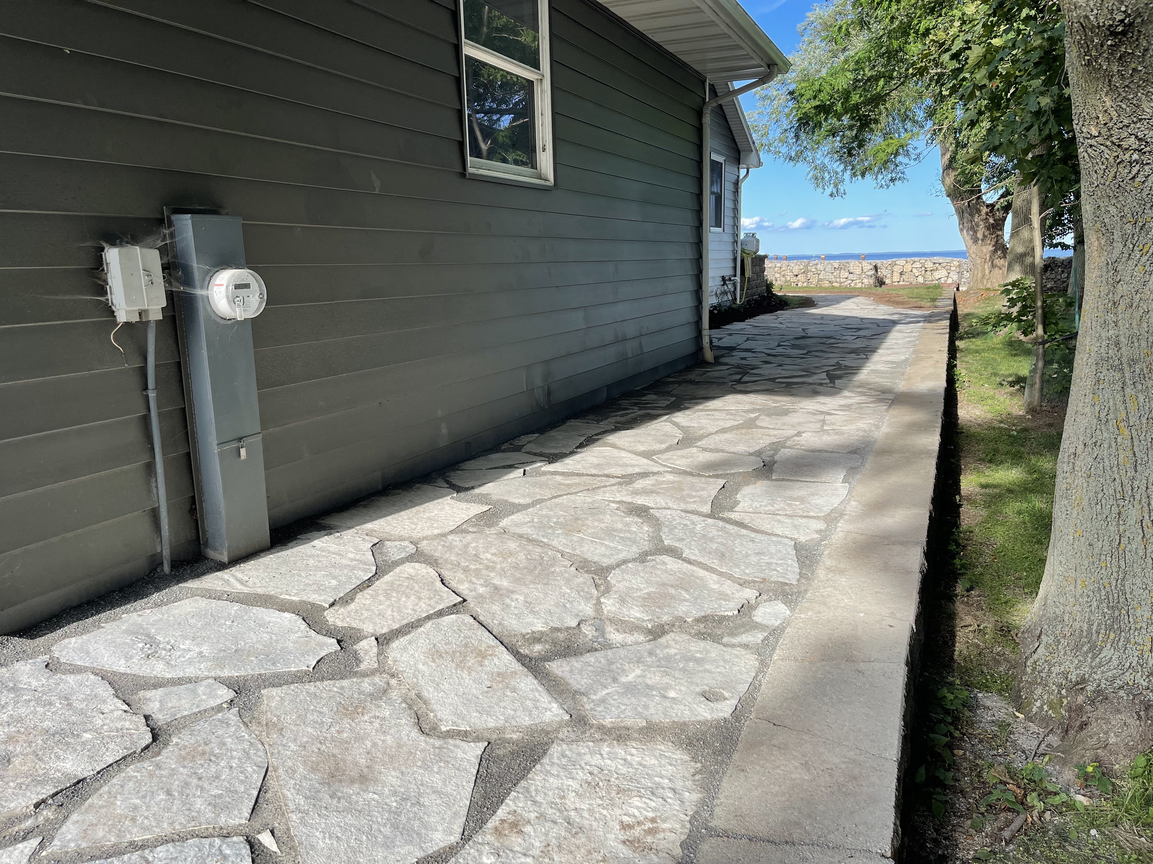 Drainage and grading focused landscape project